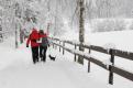 Wandern mit dem Vierbeiner im Schnee