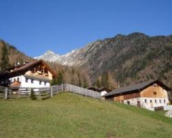 Unser Bauernhof von Wald und Wiesen umgeben